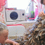 Надёжный тыл - Газета Сельская новь