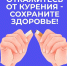 Тревожная тенденция - Газета Сельская новь