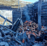 Тревожная хроника - Газета Сельская новь